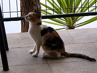foto 163